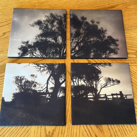 Picture set - Picture 2 of 5